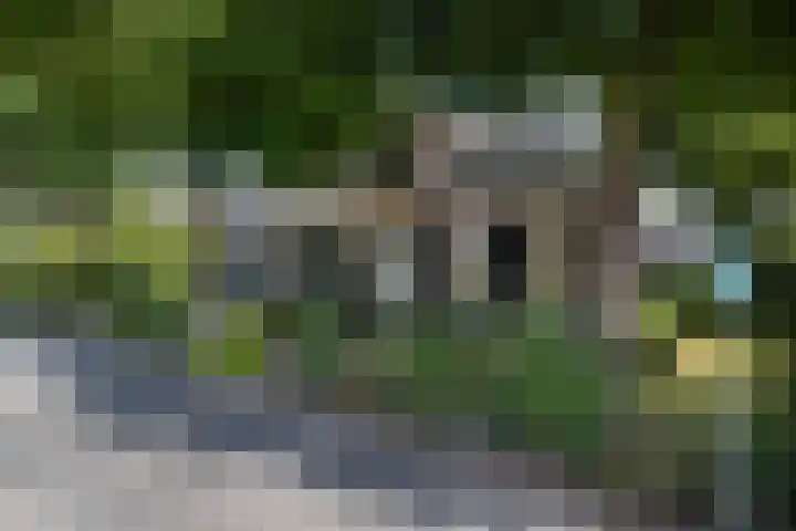 De Buorren 10 Wânswert thumbnail 7