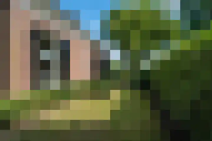 De Buorren 10 Wânswert thumbnail 70