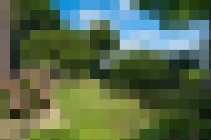 De Buorren 10 Wânswert thumbnail 71