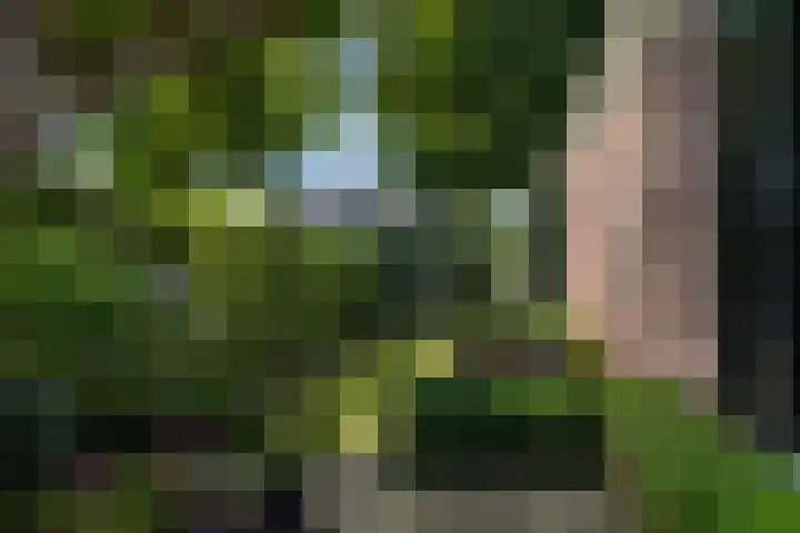 De Buorren 10 Wânswert thumbnail 72
