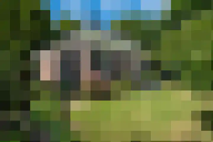 De Buorren 10 Wânswert thumbnail 73