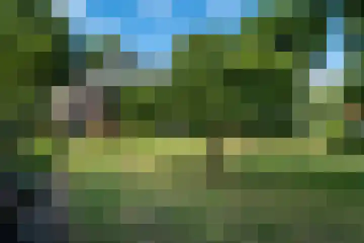 De Buorren 10 Wânswert thumbnail 74