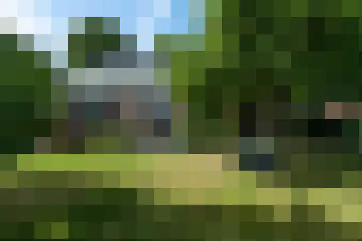 De Buorren 10 Wânswert thumbnail 75