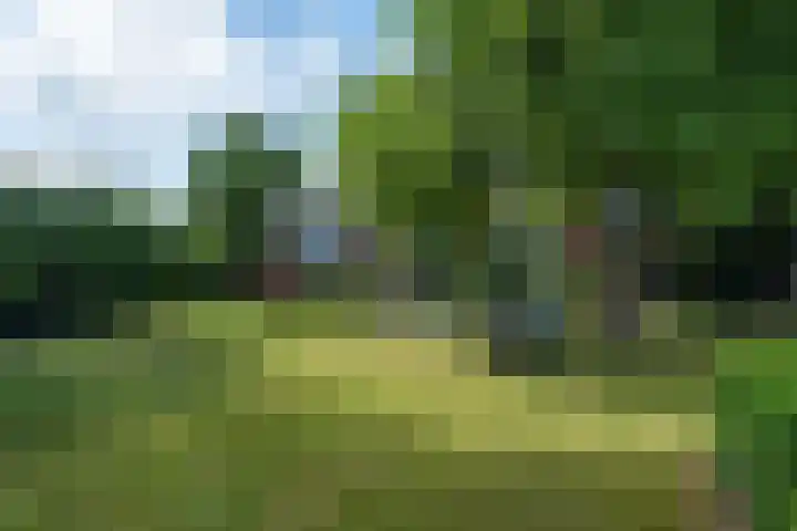 De Buorren 10 Wânswert thumbnail 76