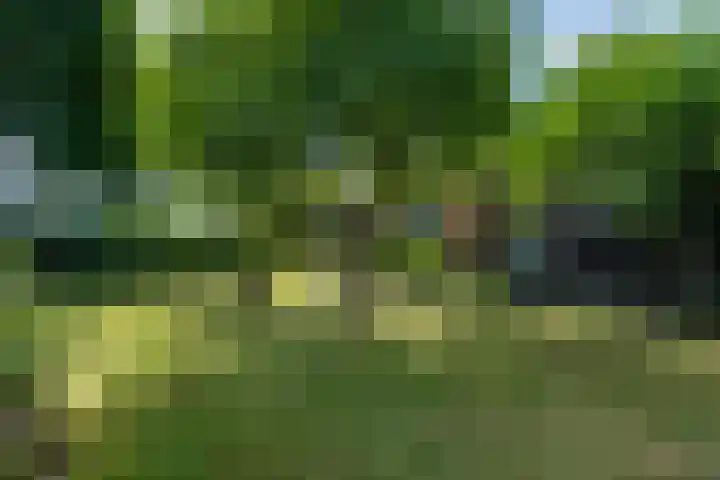 De Buorren 10 Wânswert thumbnail 79