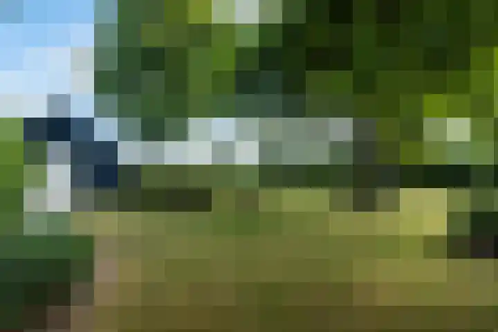 De Buorren 10 Wânswert thumbnail 81