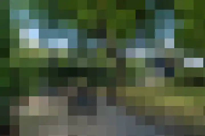 De Buorren 10 Wânswert thumbnail 82