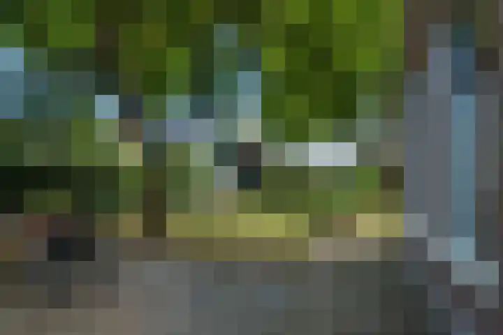 De Buorren 10 Wânswert thumbnail 83