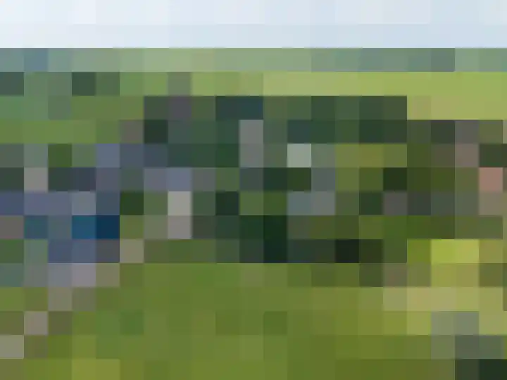 De Buorren 10 Wânswert thumbnail 84