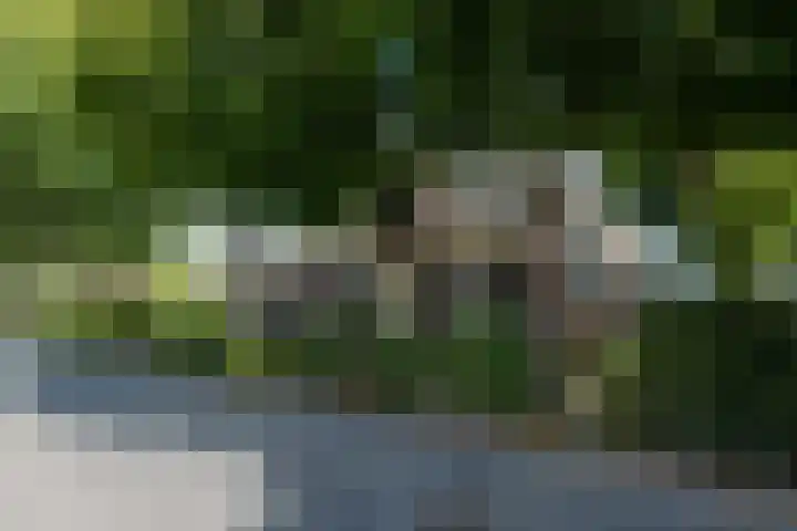 De Buorren 10 Wânswert thumbnail 9