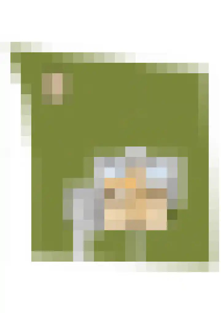 De Buorren 10 Wânswert thumbnail 98