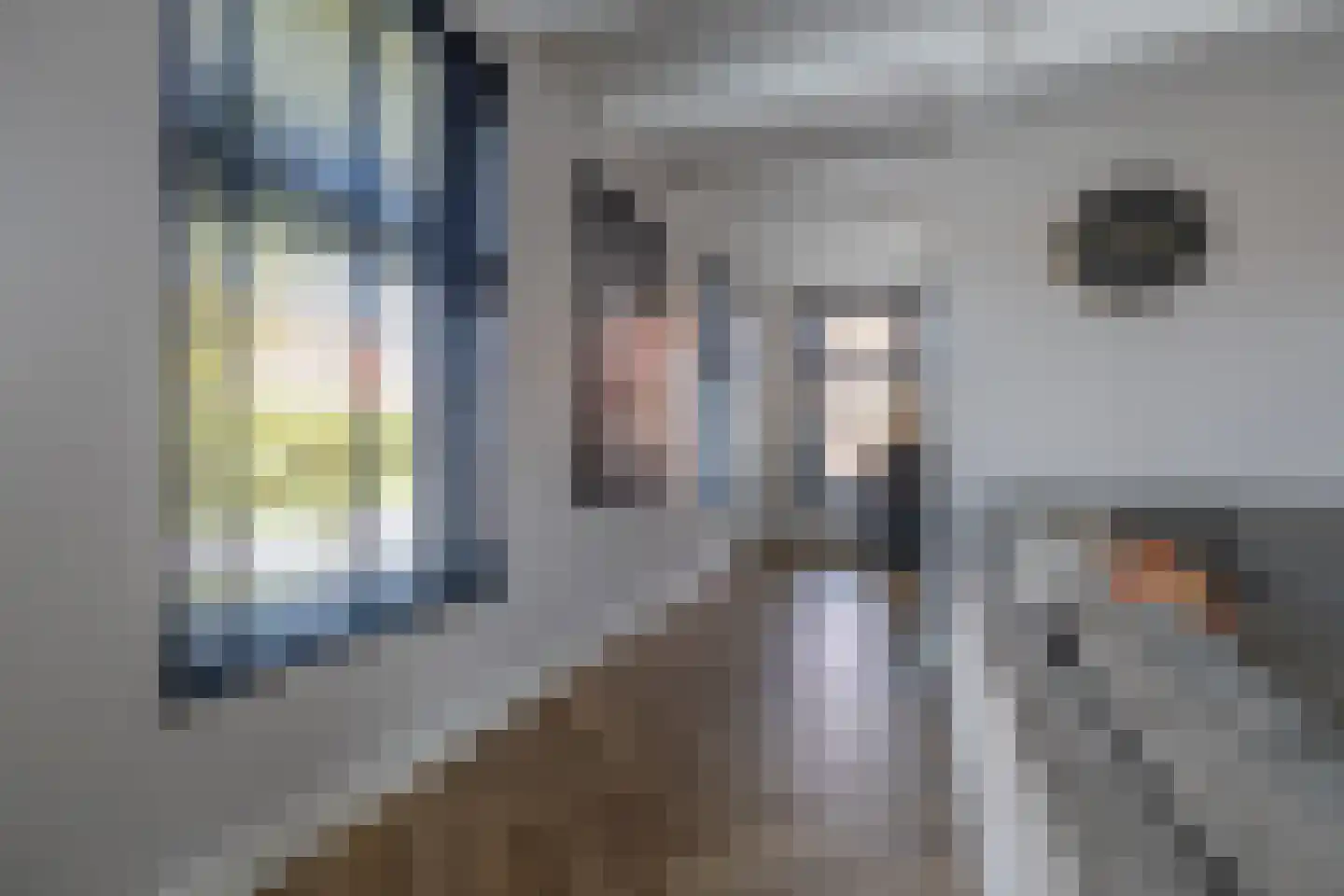De Buorren 12 Peazens thumbnail 14