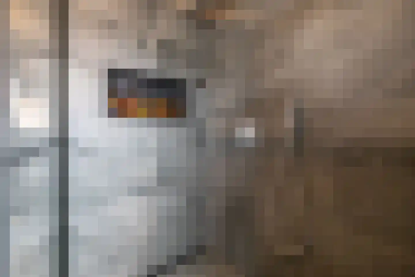 De Buorren 12 Peazens thumbnail 17