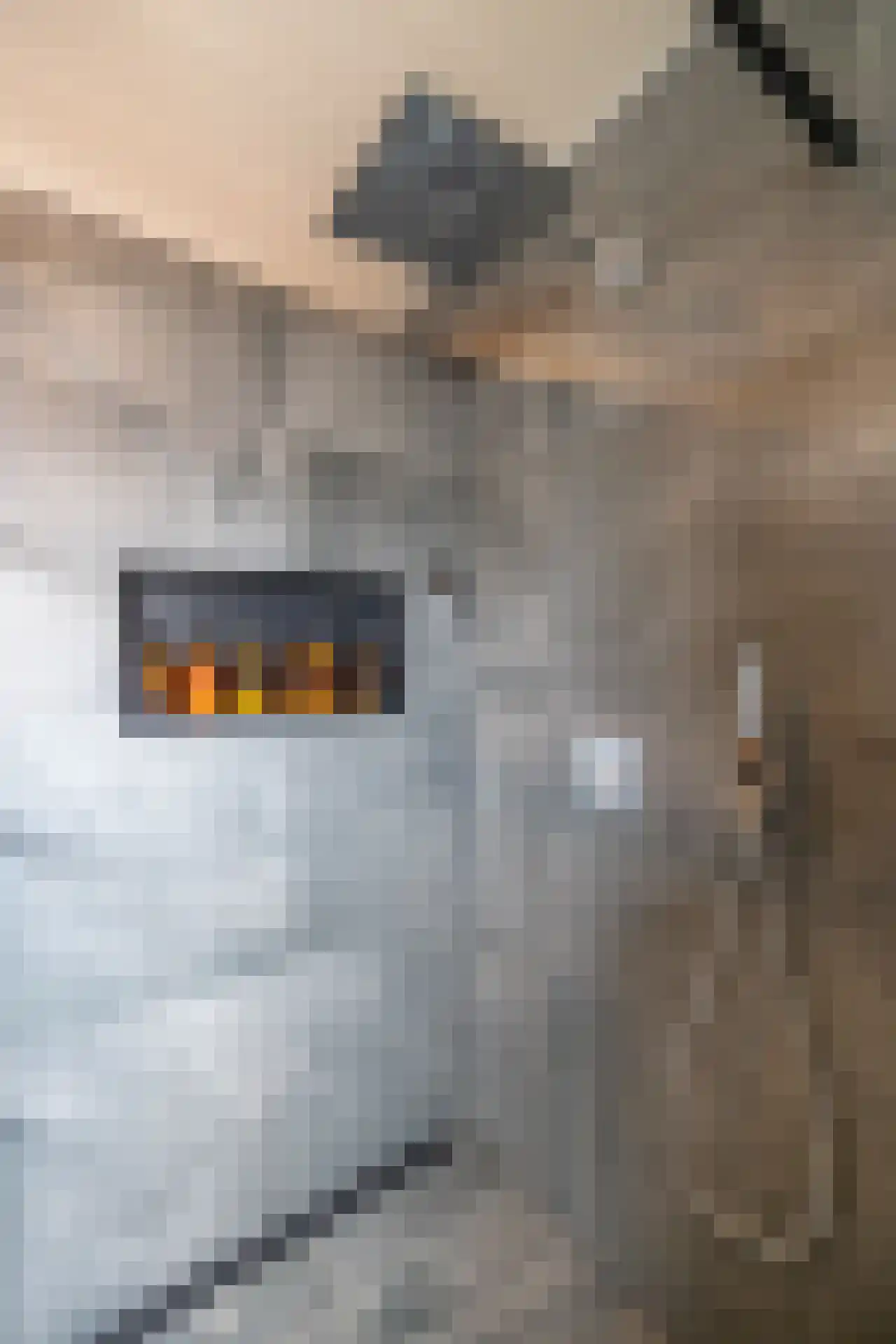 De Buorren 12 Peazens thumbnail 18