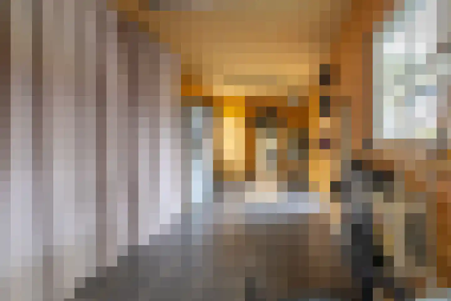 De Buorren 12 Peazens thumbnail 22