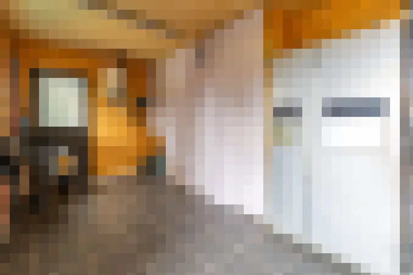 De Buorren 12 Peazens thumbnail 23