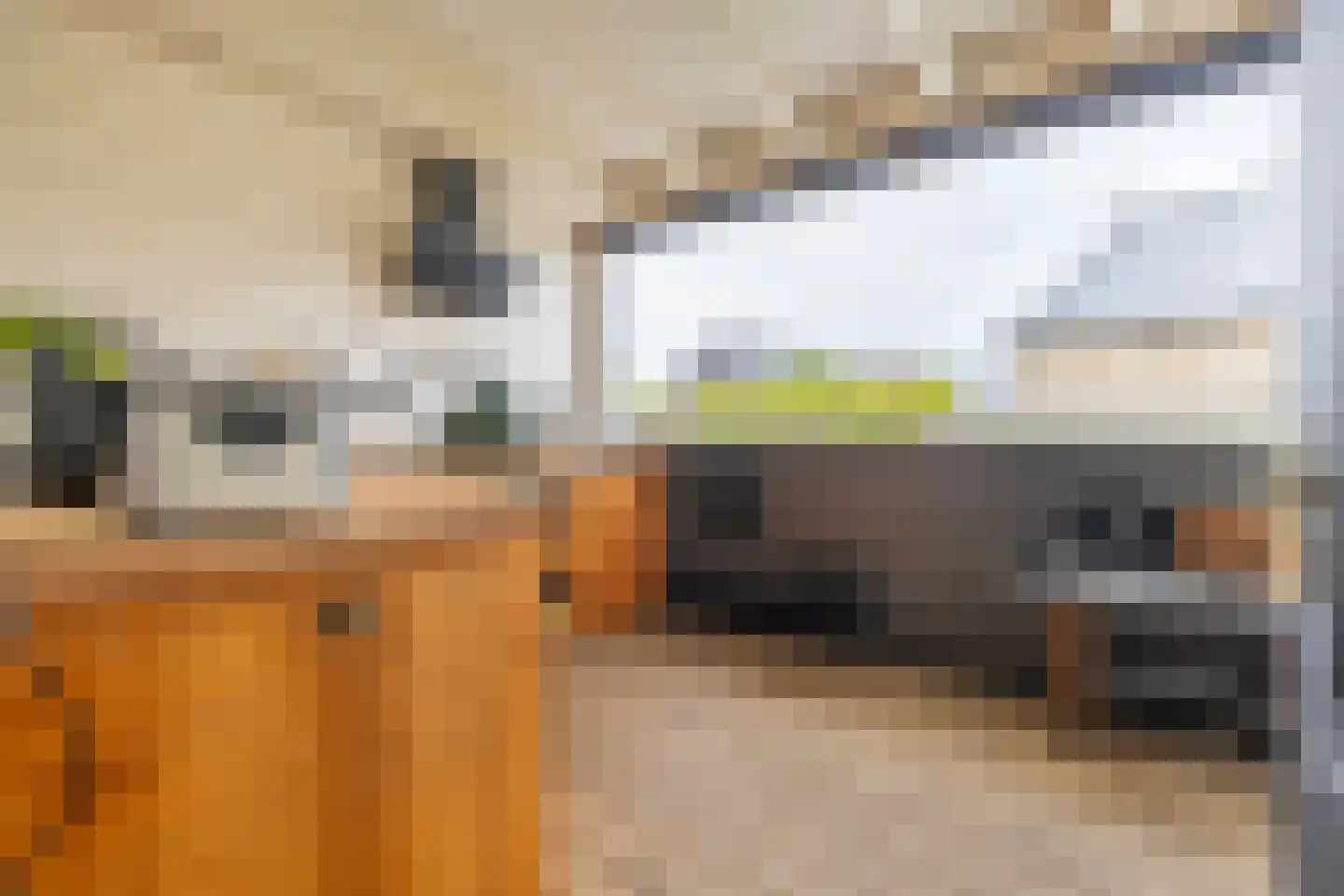 De Buorren 12 Peazens thumbnail 20