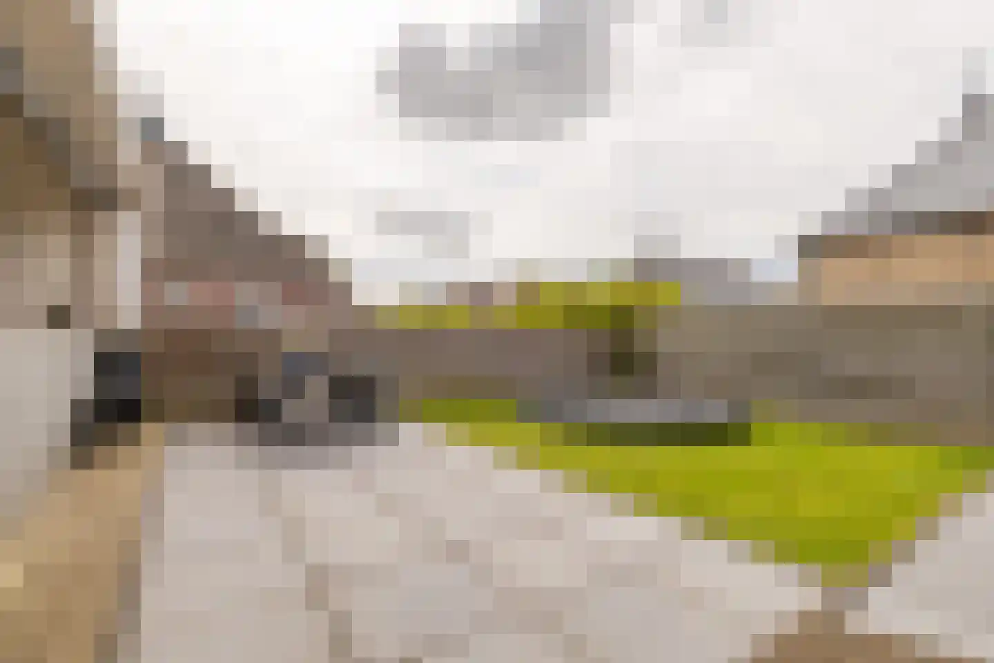 De Buorren 12 Peazens thumbnail 27