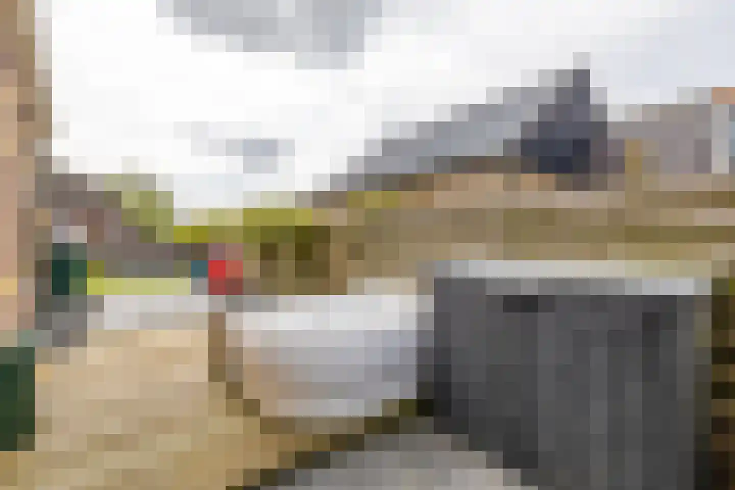 De Buorren 12 Peazens thumbnail 29