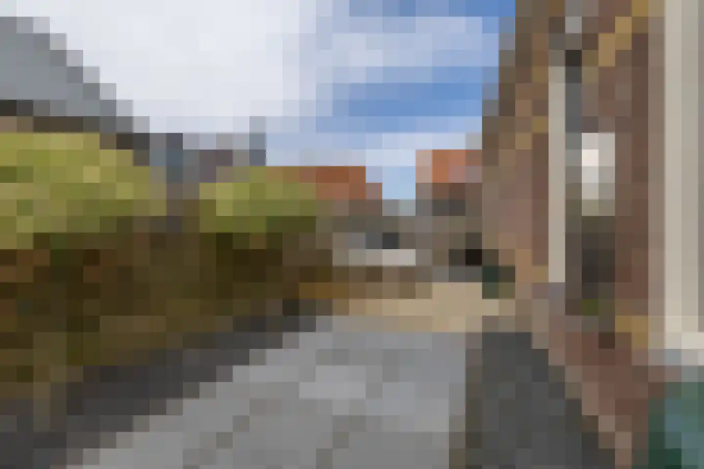 De Buorren 12 Peazens thumbnail 26