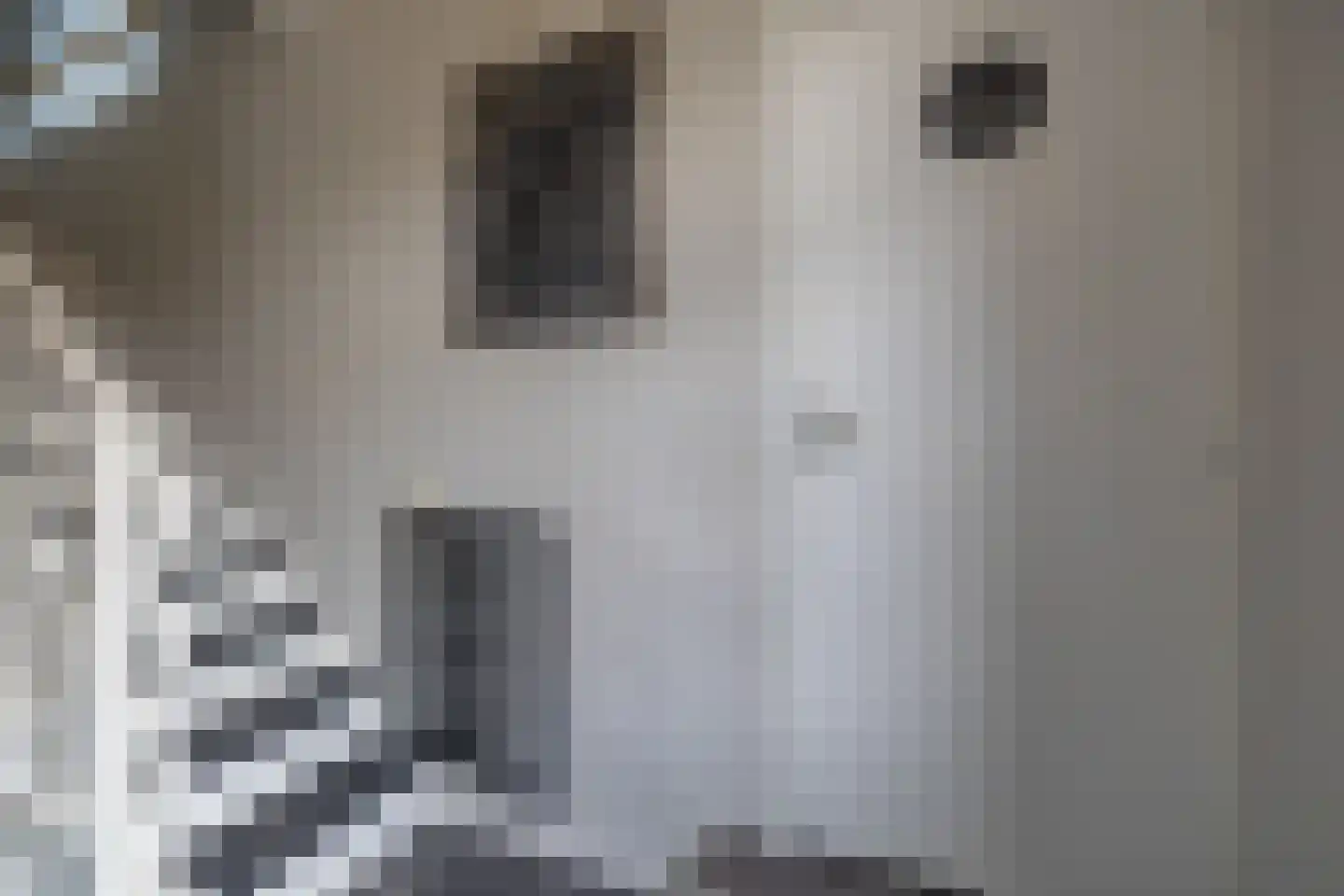 De Buorren 12 Peazens thumbnail 34