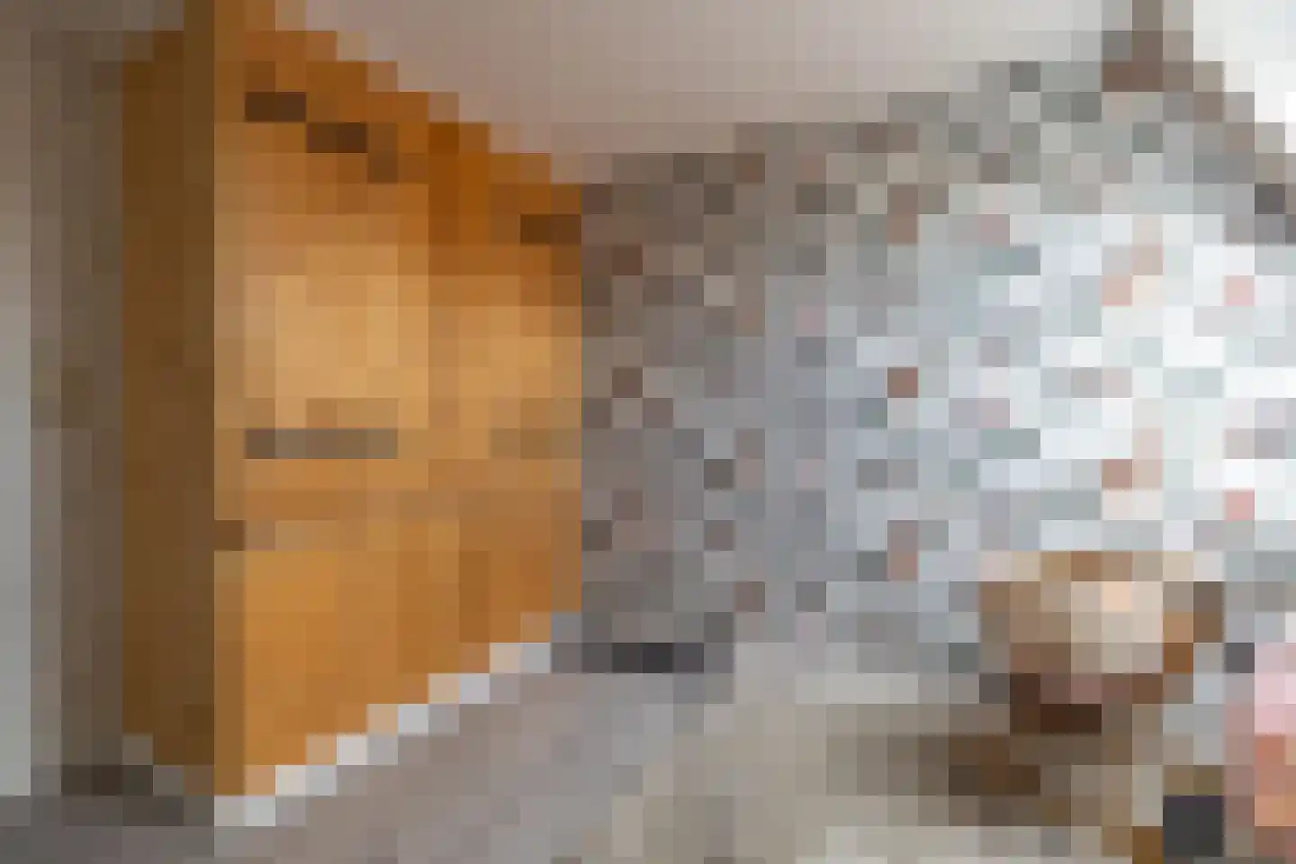 De Buorren 12 Peazens thumbnail 38