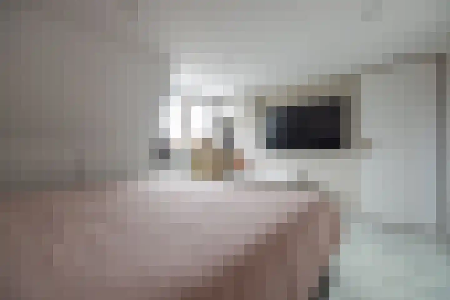 De Buorren 12 Peazens thumbnail 41