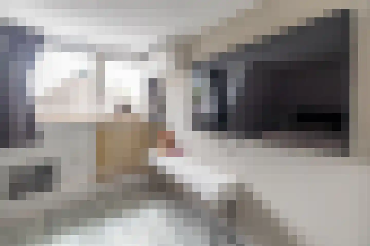 De Buorren 12 Peazens thumbnail 43