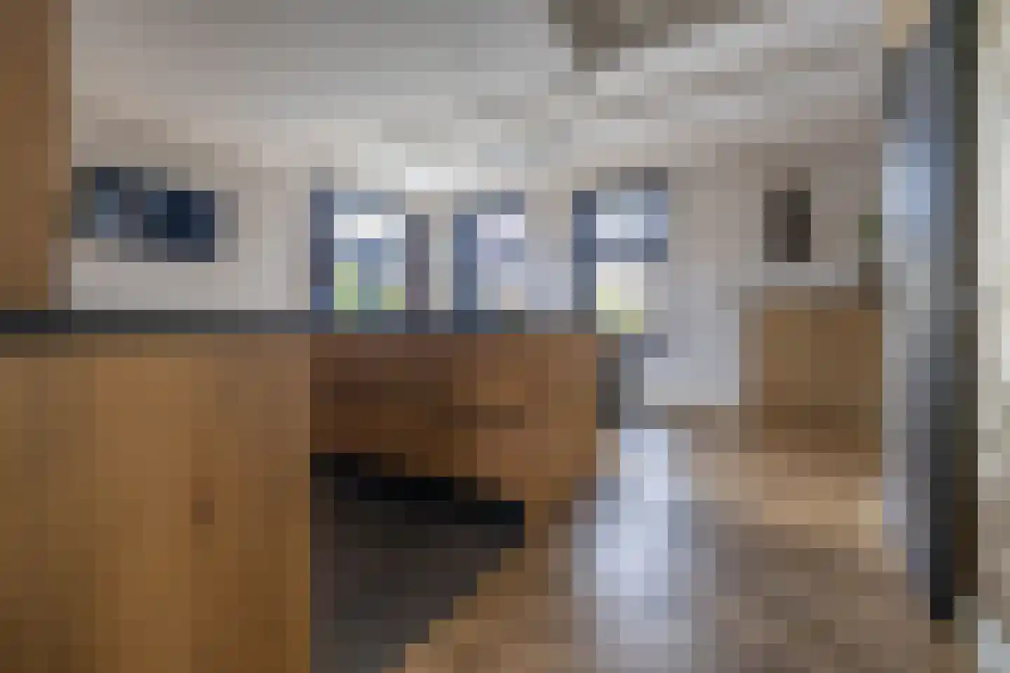 De Buorren 12 Peazens thumbnail 5