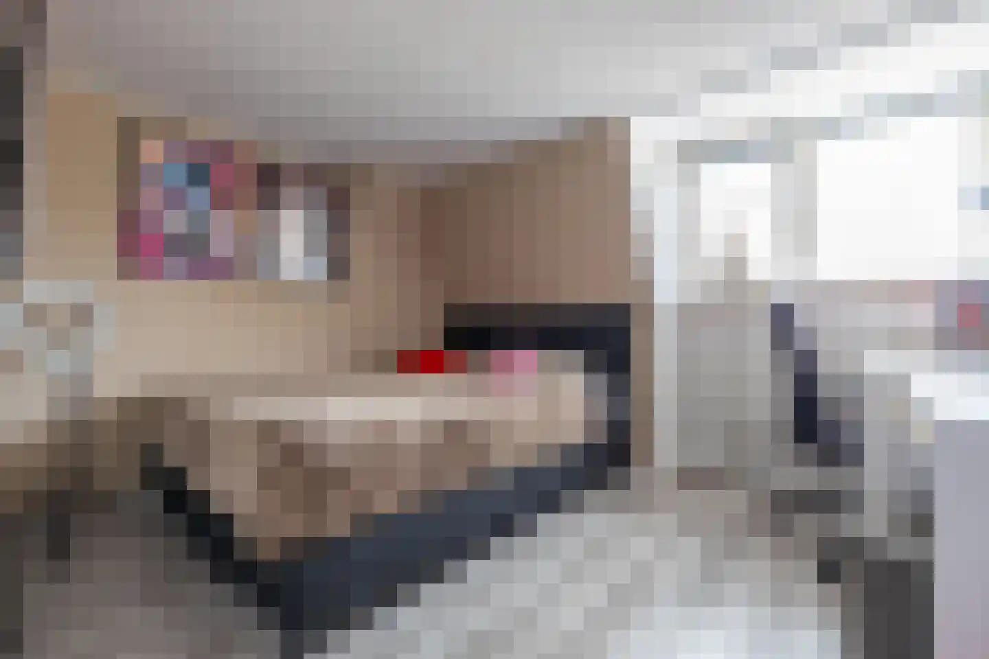De Buorren 12 Peazens thumbnail 50