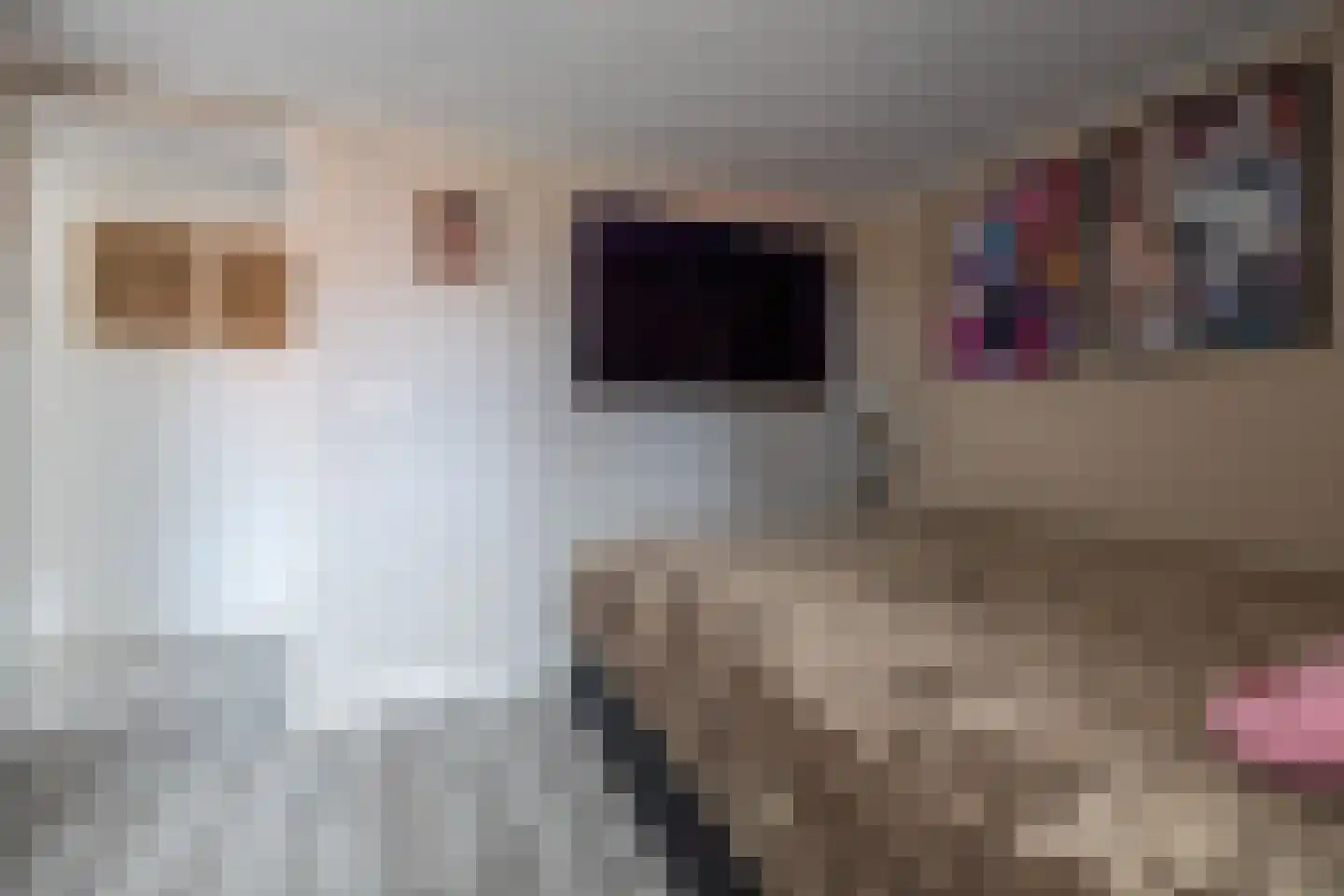 De Buorren 12 Peazens thumbnail 51