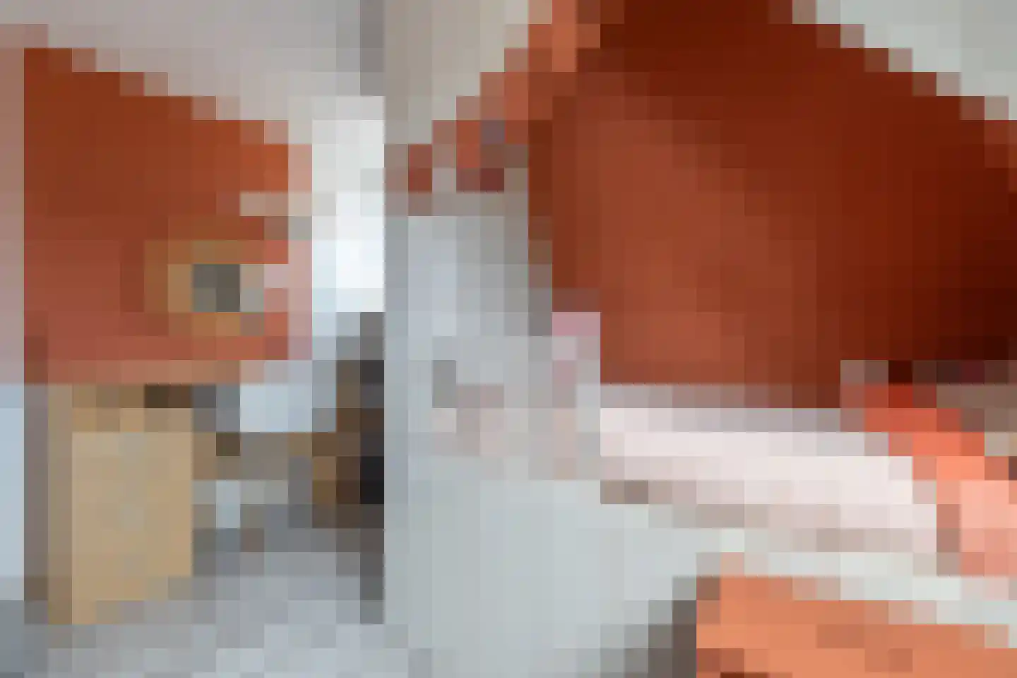 De Buorren 12 Peazens thumbnail 54