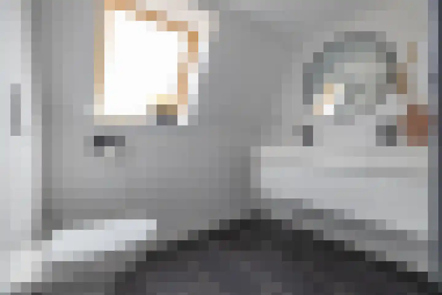 De Buorren 12 Peazens thumbnail 56