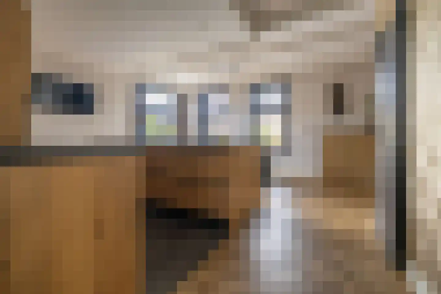 De Buorren 12 Peazens thumbnail 6