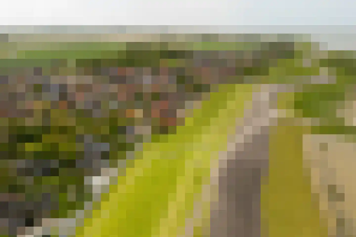 De Buorren 12 Peazens thumbnail 66