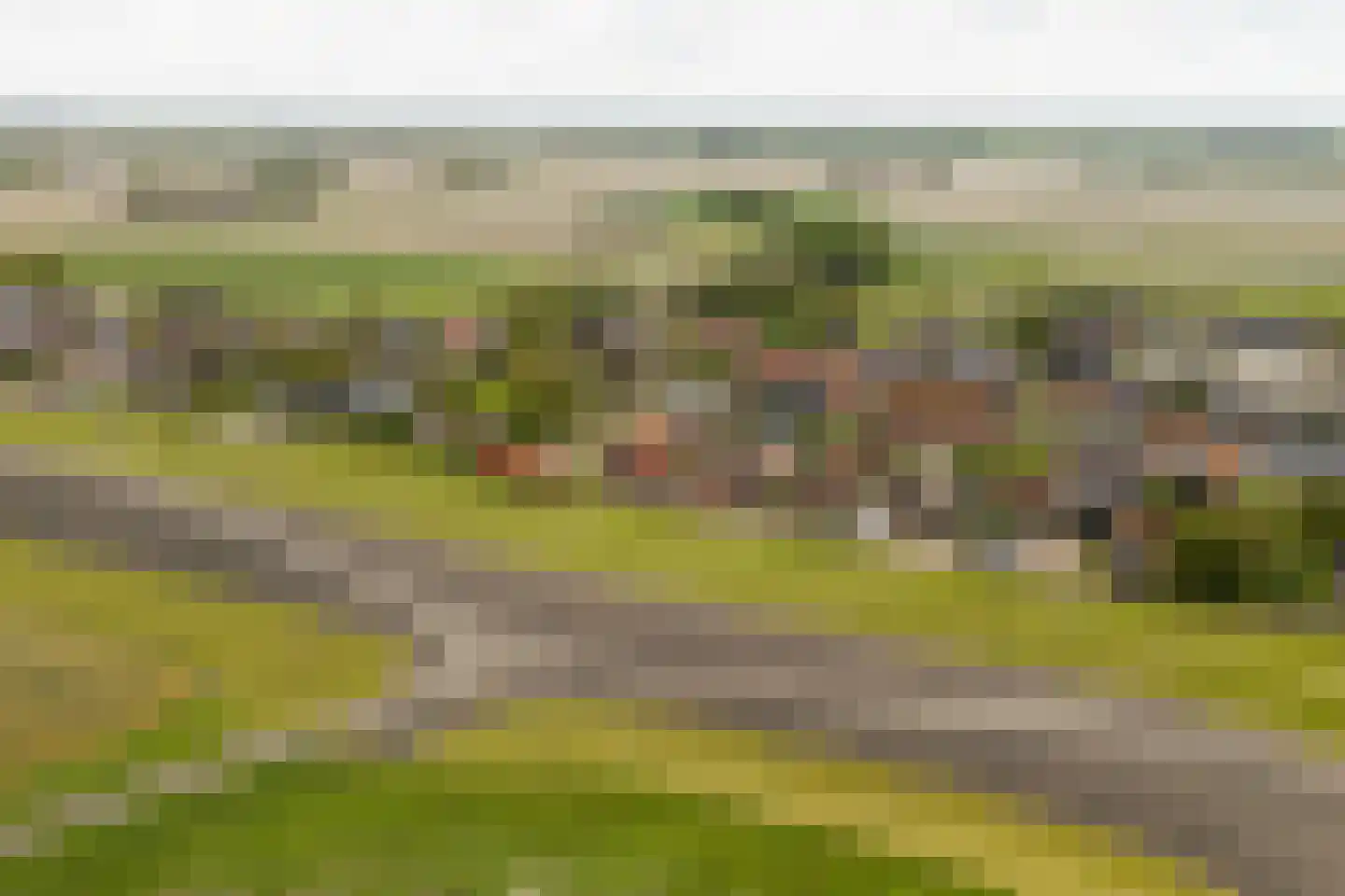 De Buorren 12 Peazens thumbnail 67
