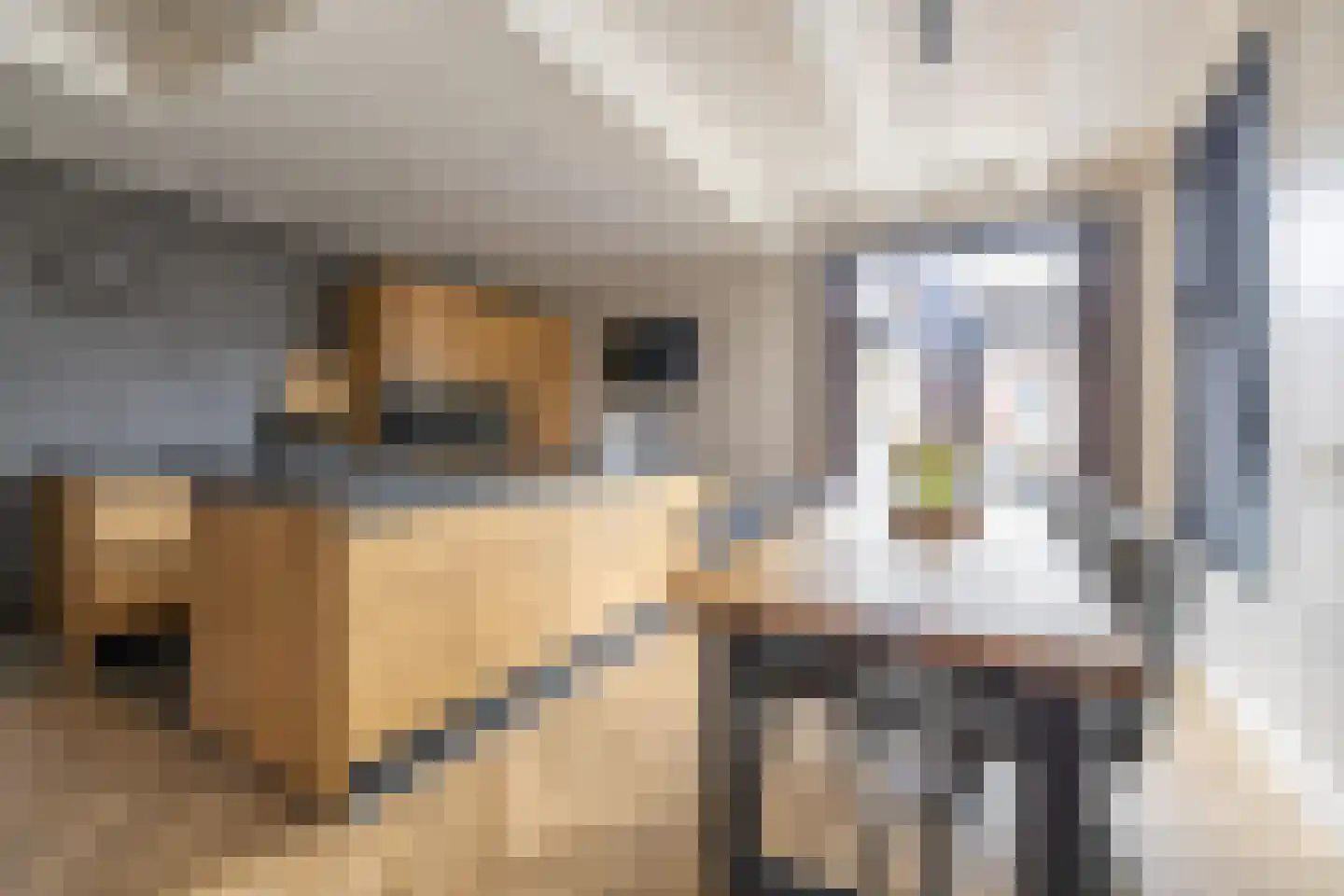 De Buorren 12 Peazens thumbnail 7