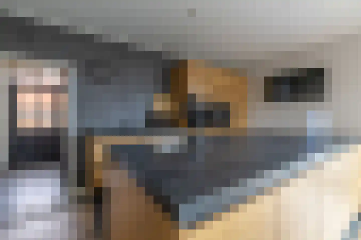De Buorren 12 Peazens thumbnail 8