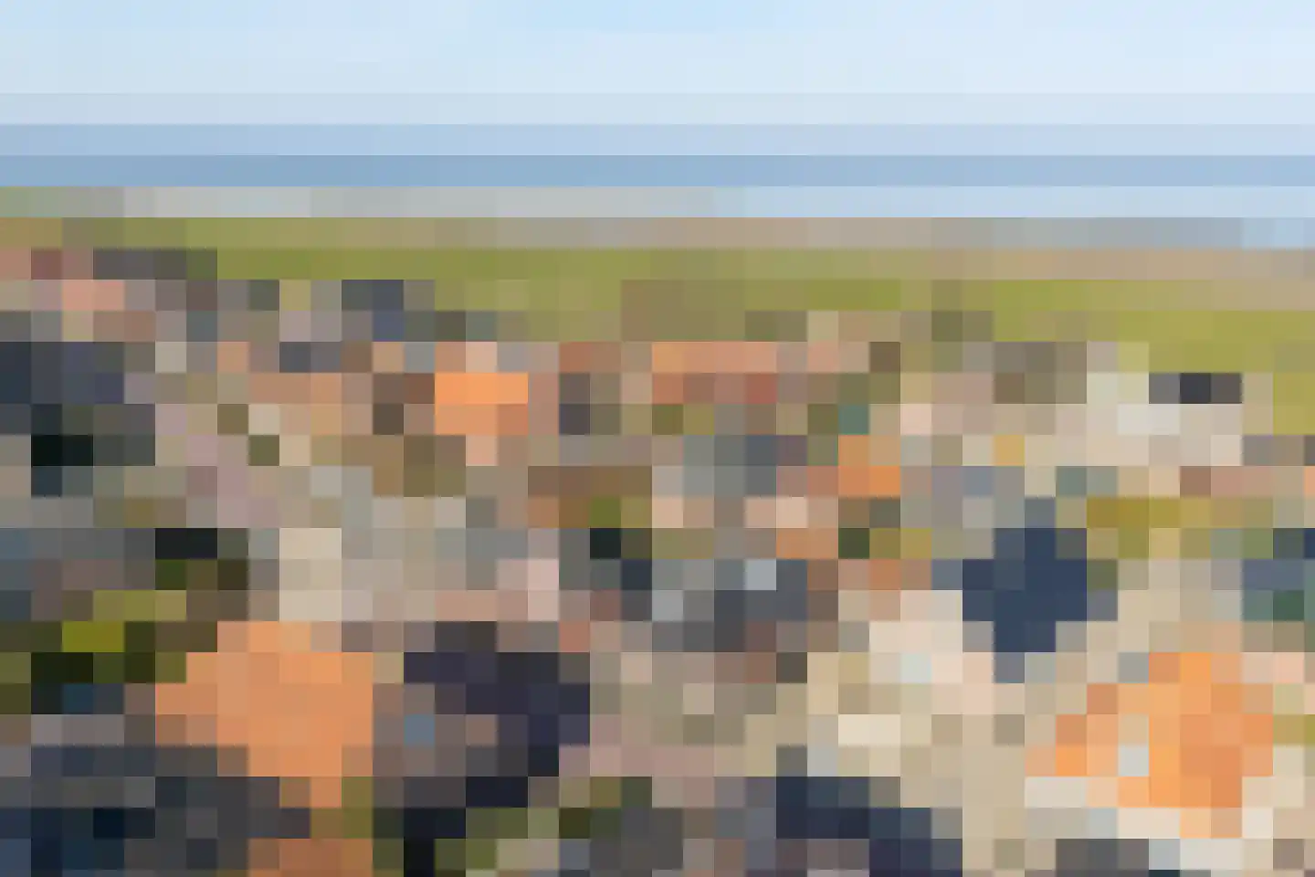 De Buorren 25 Peazens thumbnail 10