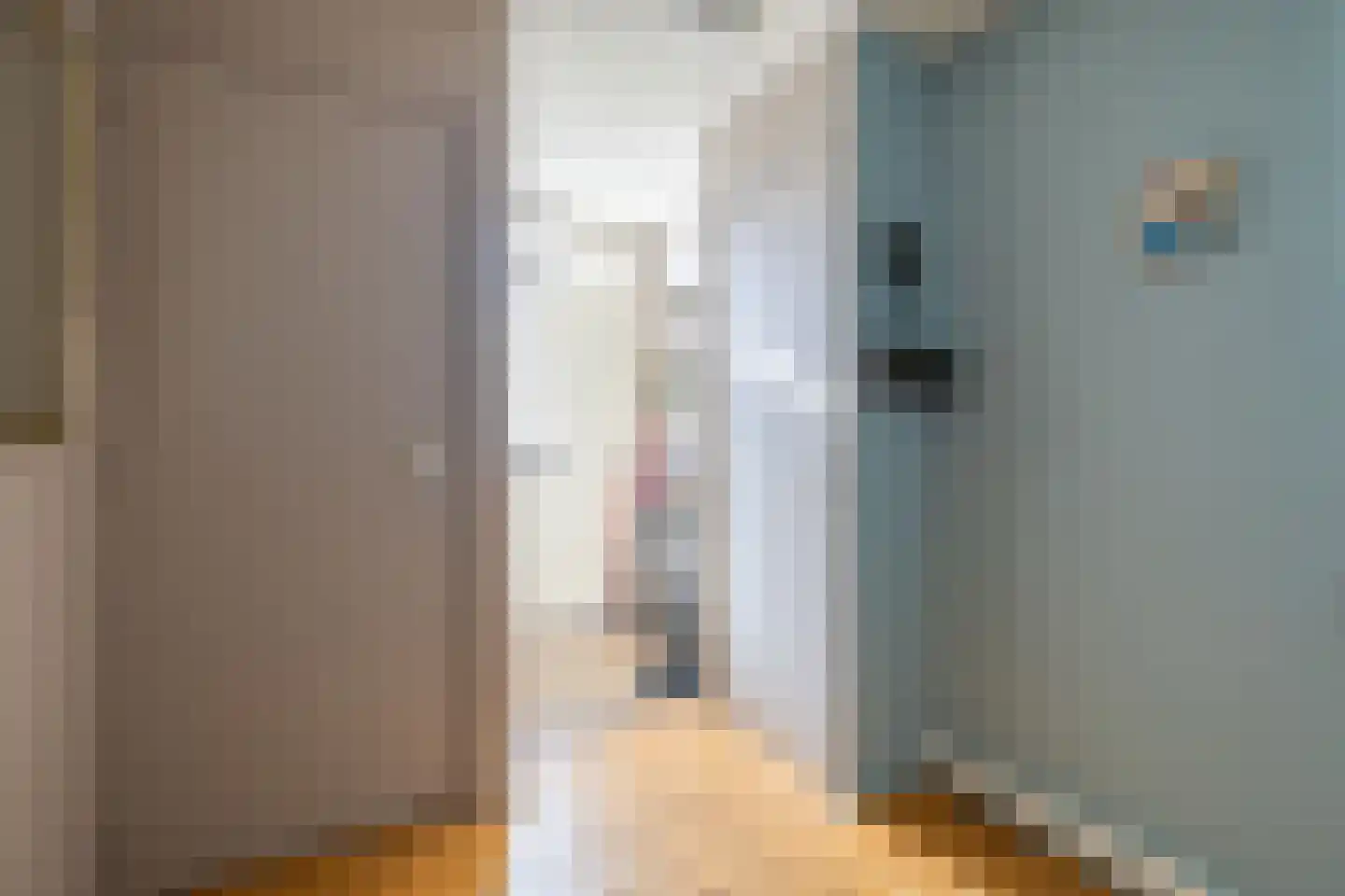 De Buorren 25 Peazens thumbnail 11