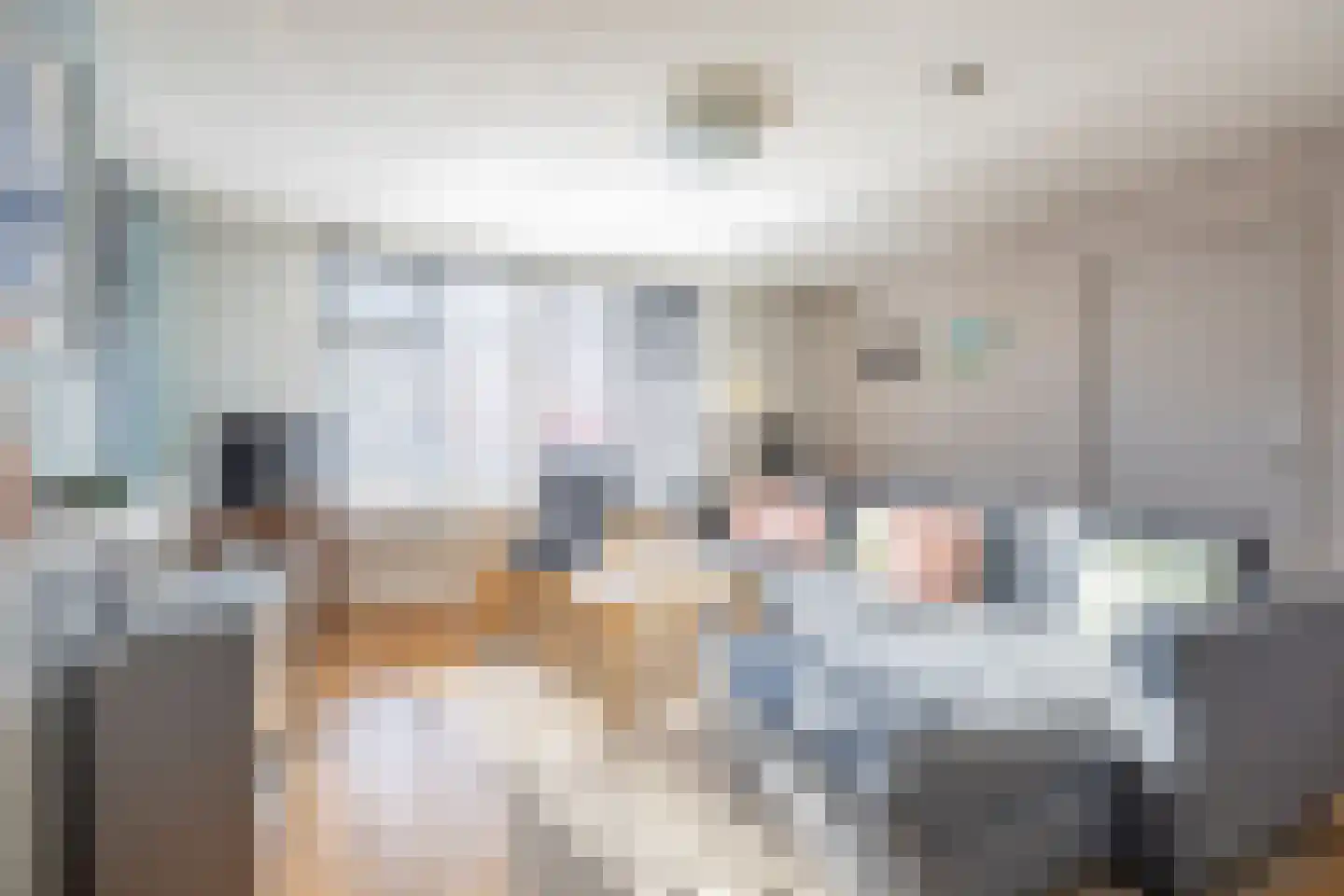 De Buorren 25 Peazens thumbnail 14