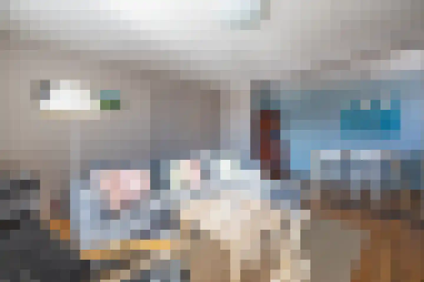 De Buorren 25 Peazens thumbnail 15