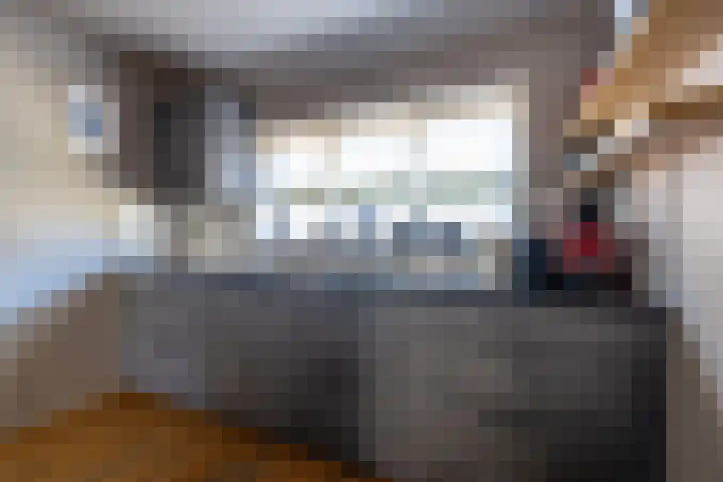De Buorren 25 Peazens thumbnail 23