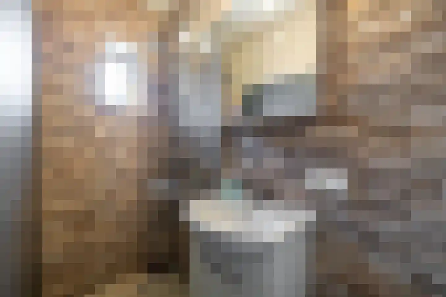 De Buorren 25 Peazens thumbnail 25