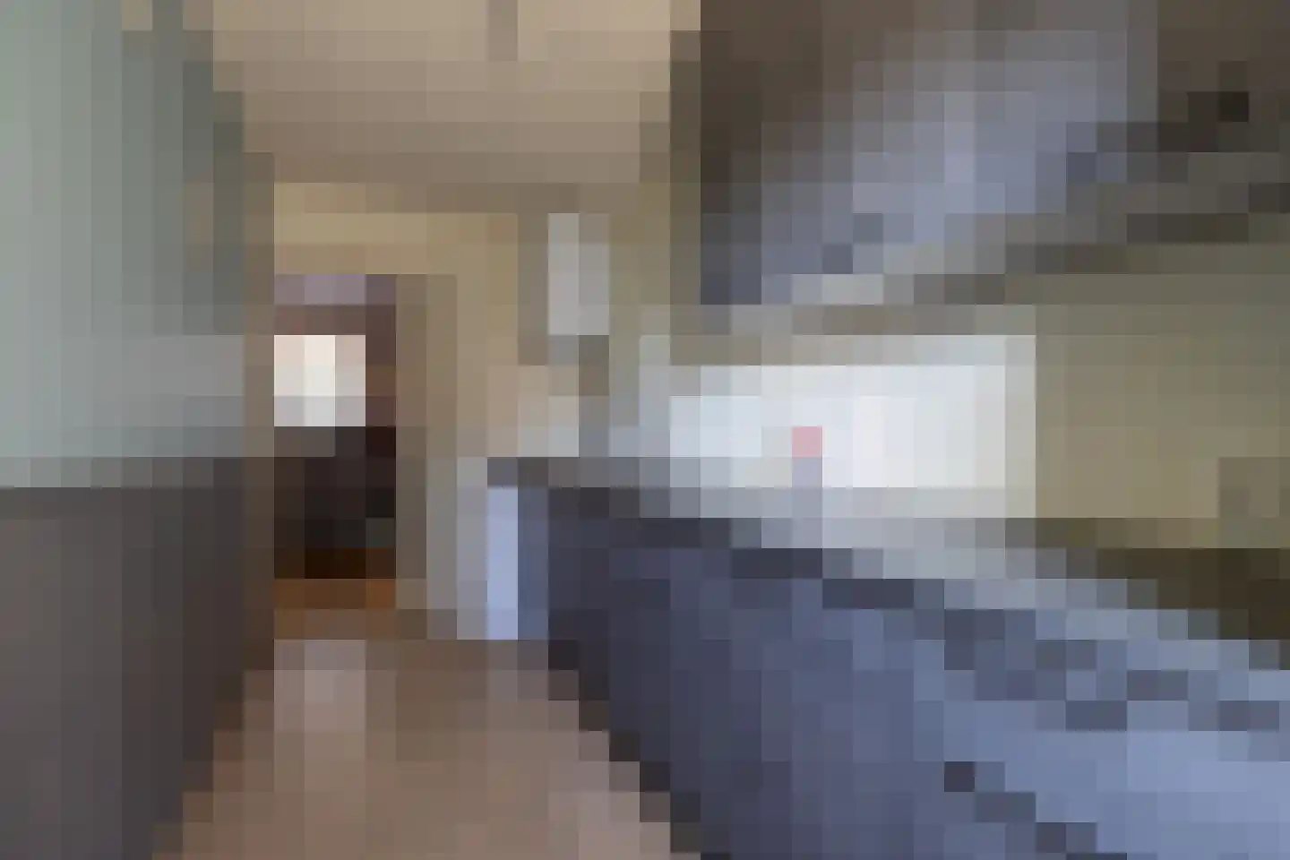 De Buorren 25 Peazens thumbnail 27