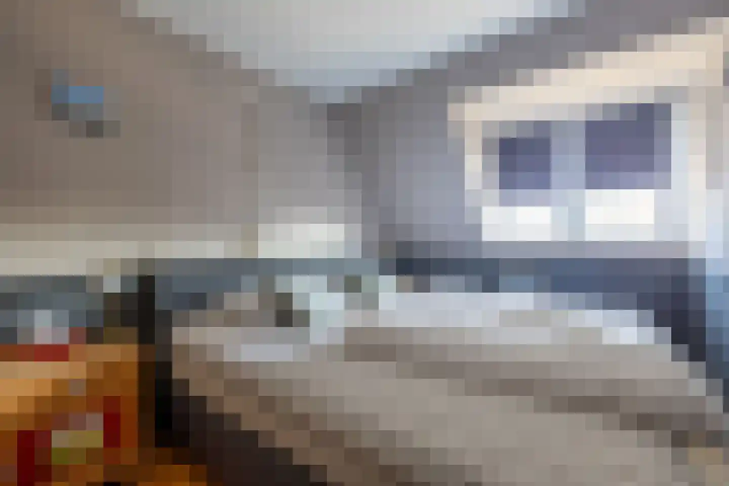 De Buorren 25 Peazens thumbnail 33