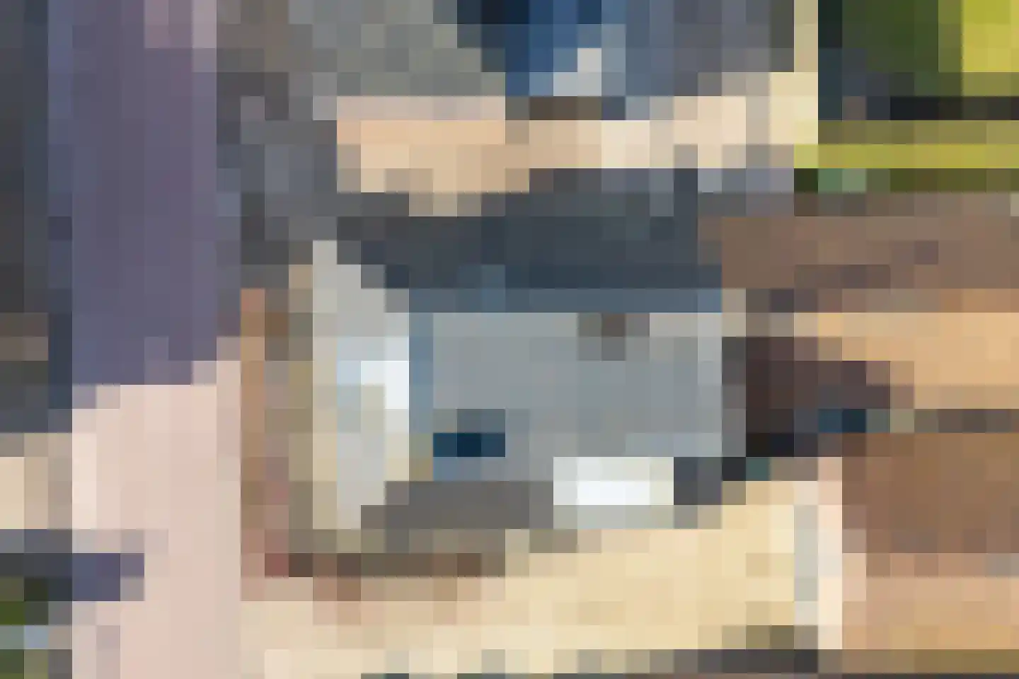 De Buorren 25 Peazens thumbnail 38