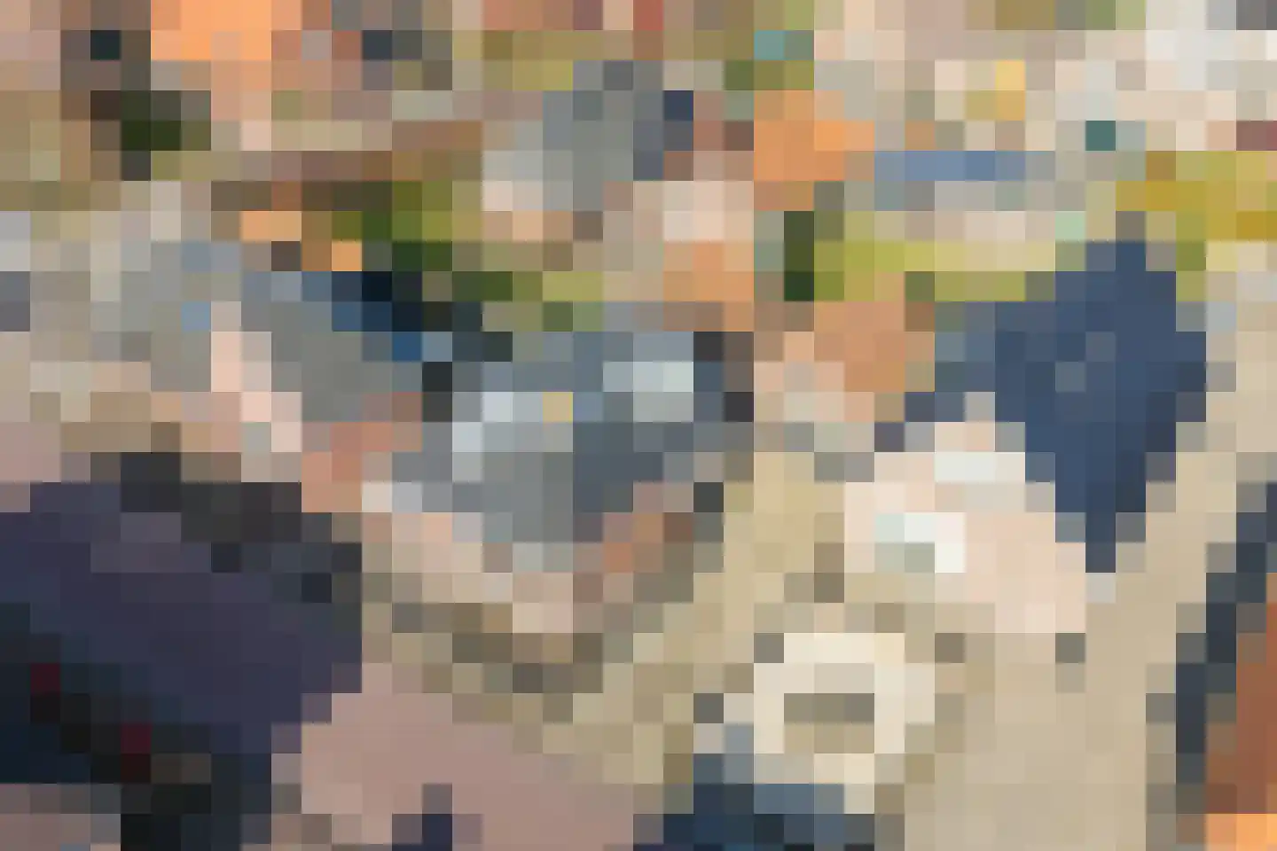 De Buorren 25 Peazens thumbnail 39