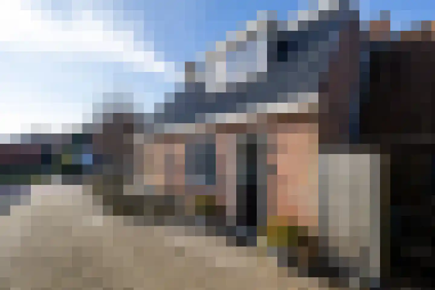 De Buorren 25 Peazens thumbnail 9