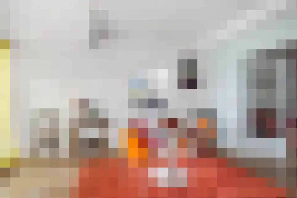De Buorren 27 Lippenhuizen thumbnail 12